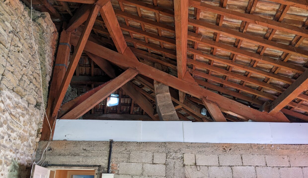 PXL_20231004_091026611