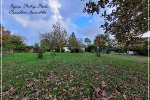 jardin2
