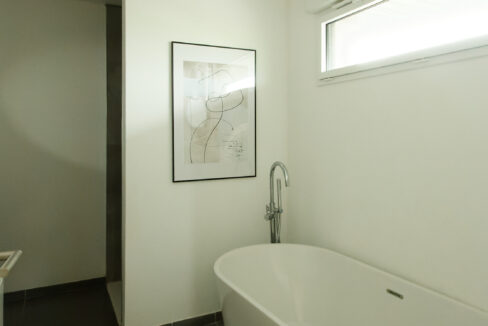 IMG_1412_DxO_FILTS