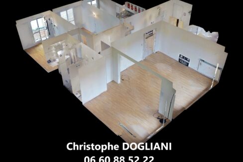 Dollhouse-View (2)