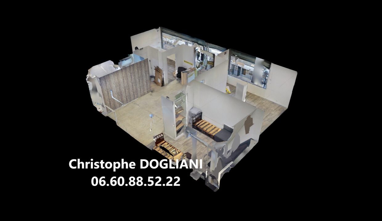 Dollhouse-View
