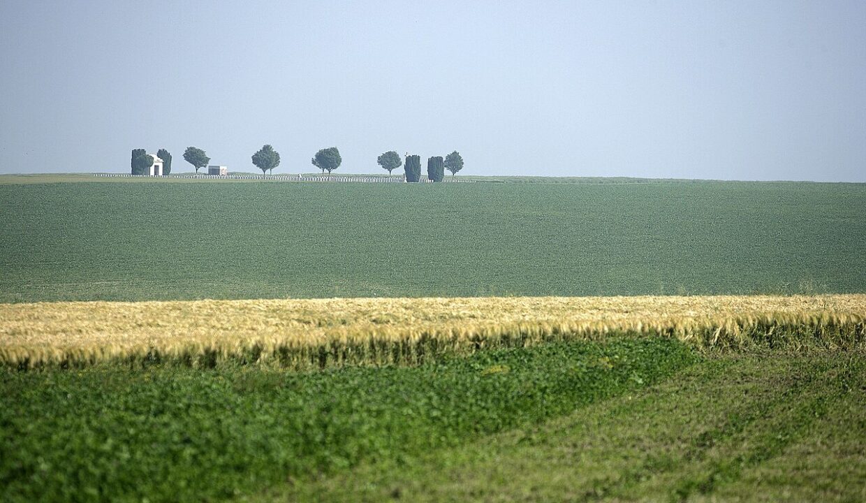 Actualité immobilier France — The Commonwealth Cemetery at The Somme, viewed from across the French countryside. MOD 45146373