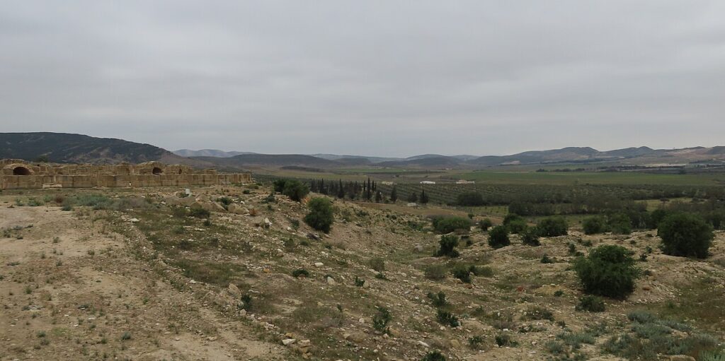 marche immobilier francais — The Tunisian countryside... with a Roman city under the rubble (52764312188)
