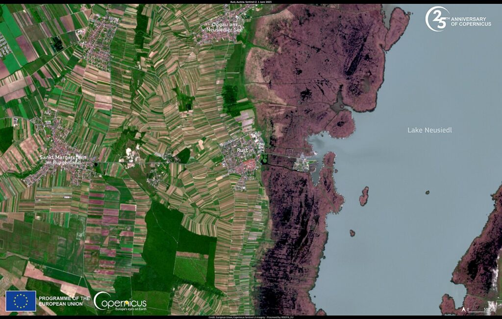 transition ecologique — The effects of climate change are changing Austria's wine industry