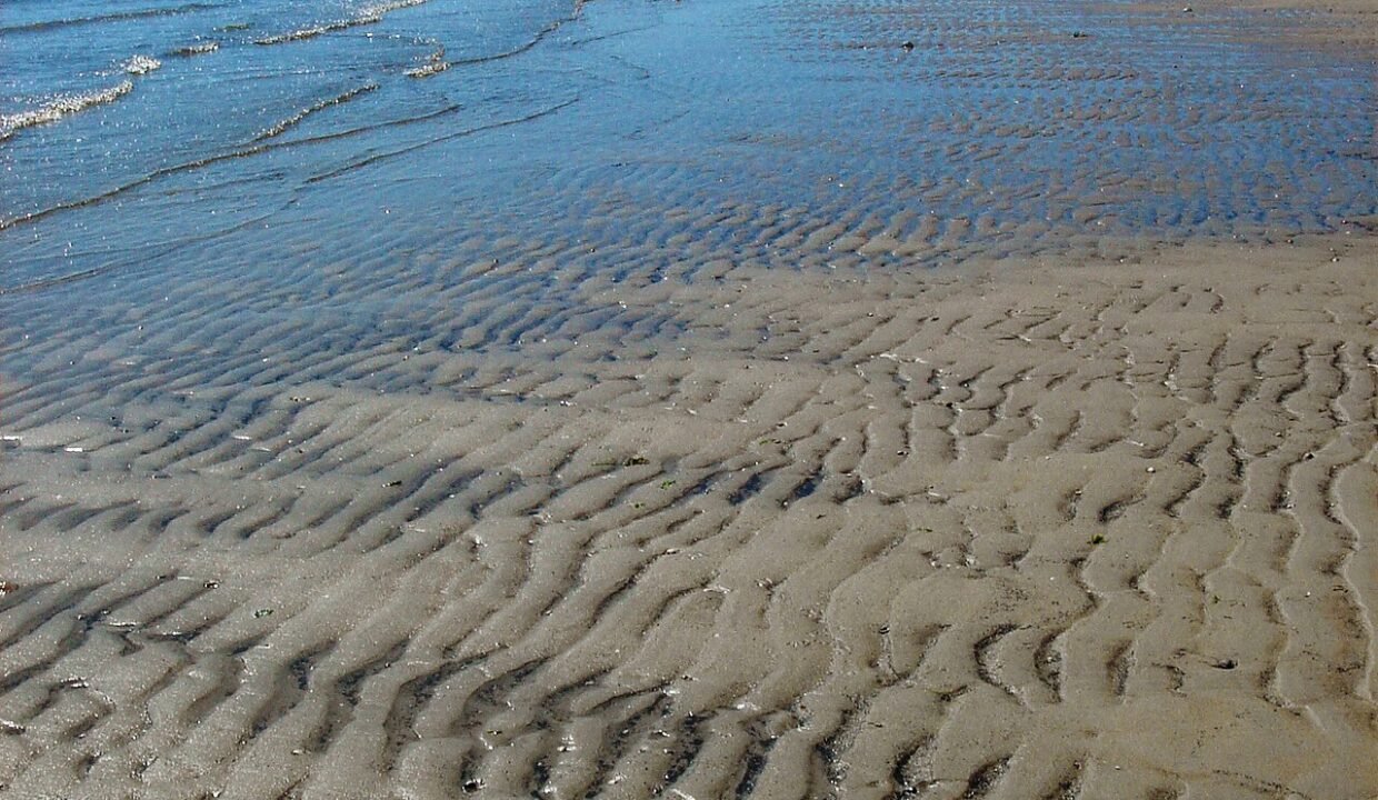 vague de chaleur — Texel - De Hors - One of the heat wave days of the Summer of 2008 - At the South Beach Corner of Marsdiep